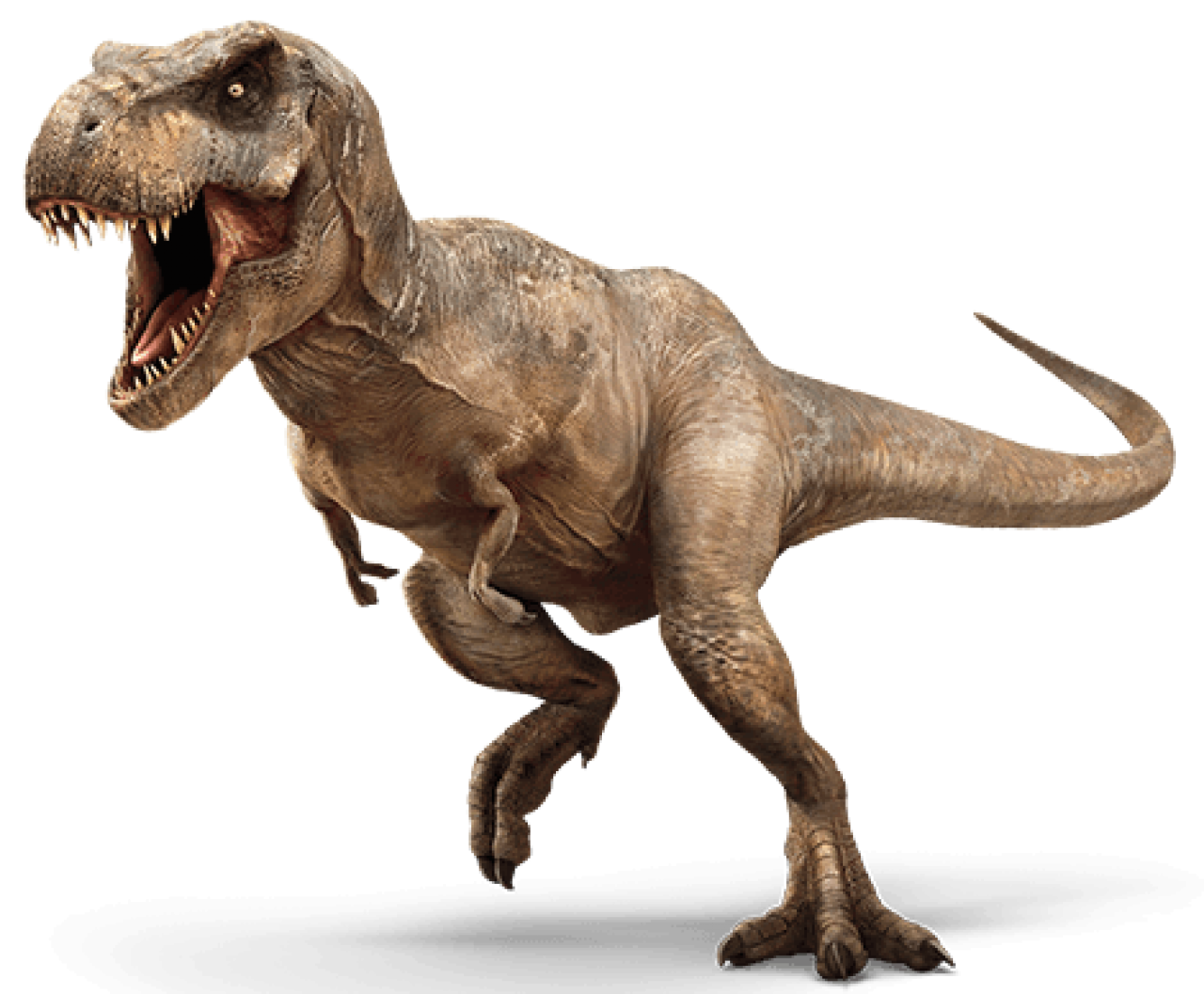 Dinosaurios Jurásicos